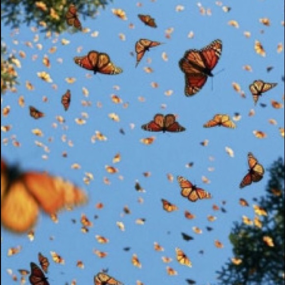 Hello I’m Ari!✨ - Picture 2 of 4